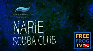 NARIE SCUBA CLUB - EFEKT WODY