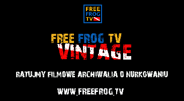 NOWY PROJEKT W FREE FROG TV